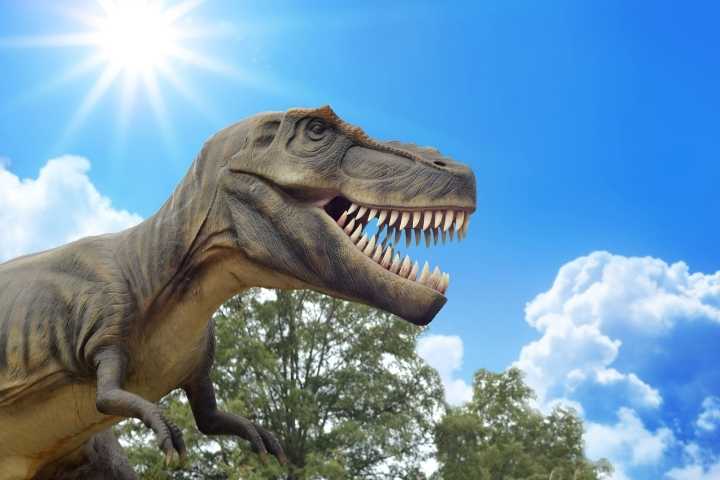 Parque T-Rex em Campinas